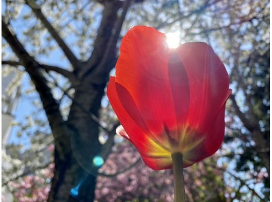 カッコつけてみた