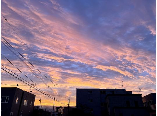 マジできれいでした