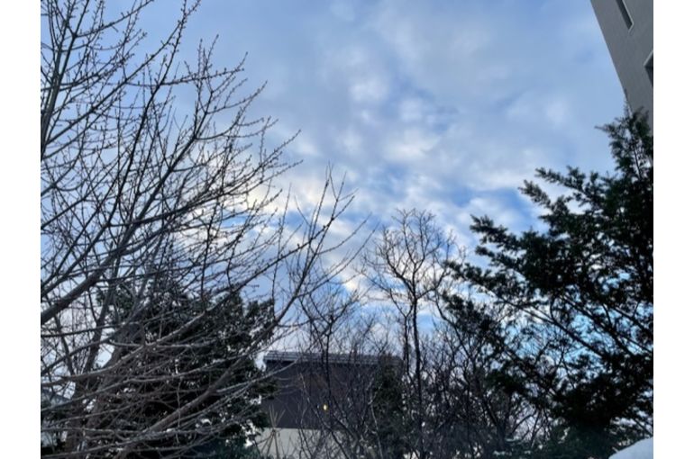 庭越しの空