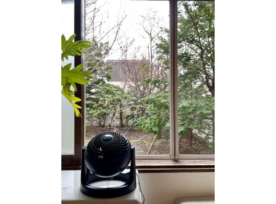 二代目デビュー