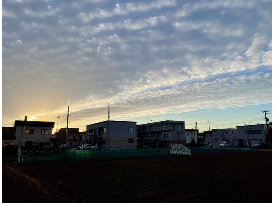 近所から見た西の空