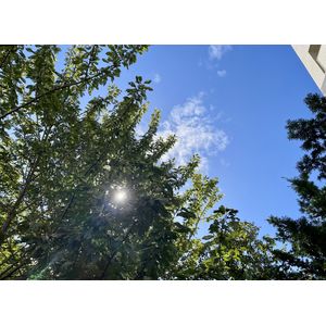 気持ちの良い朝