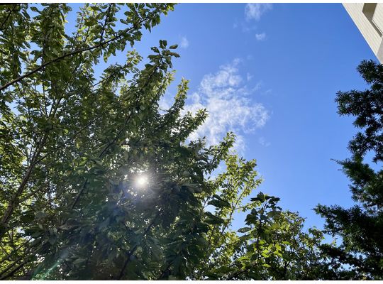 気持ちの良い朝