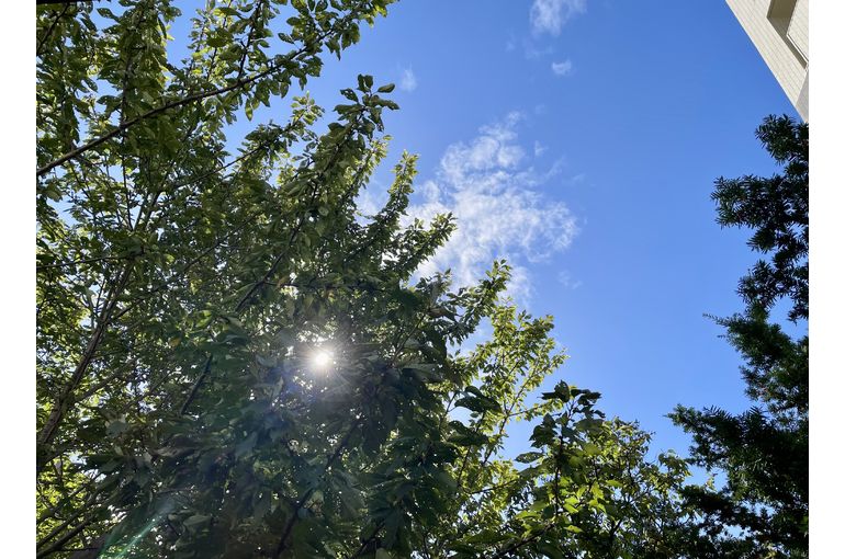 気持ちの良い朝