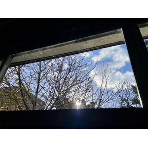 午前中の空が好きです