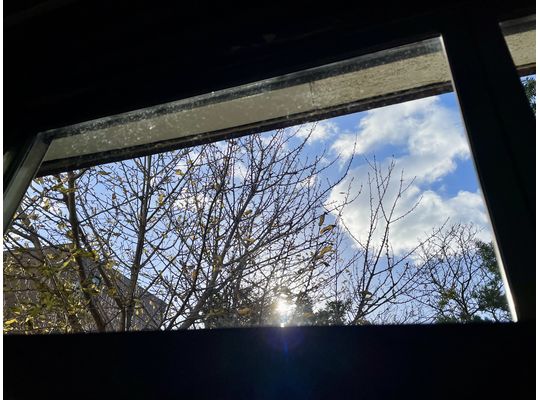 午前中の空が好きです