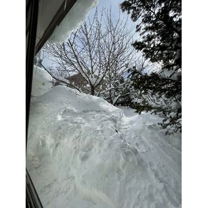 庭も限界は近い