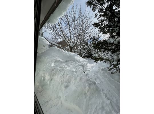 庭も限界は近い