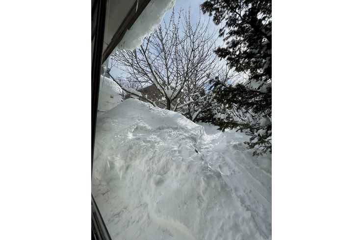 庭も限界は近い