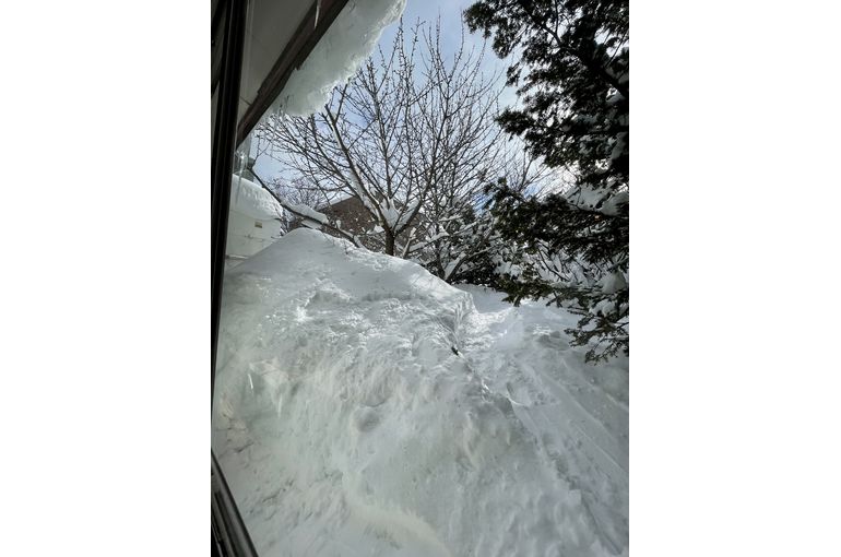 庭も限界は近い