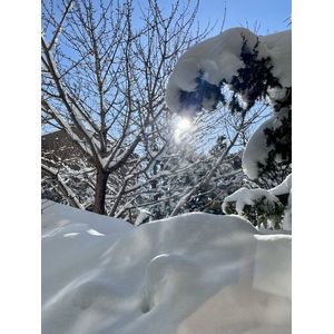 気持ちの良い午前中