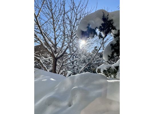 気持ちの良い午前中