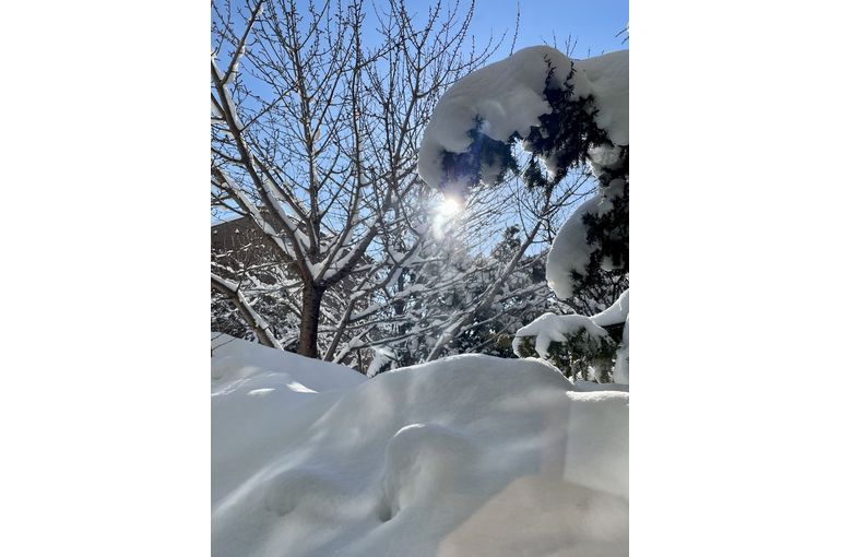 気持ちの良い午前中