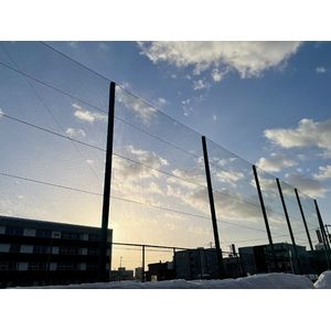 朝はキレイが多い