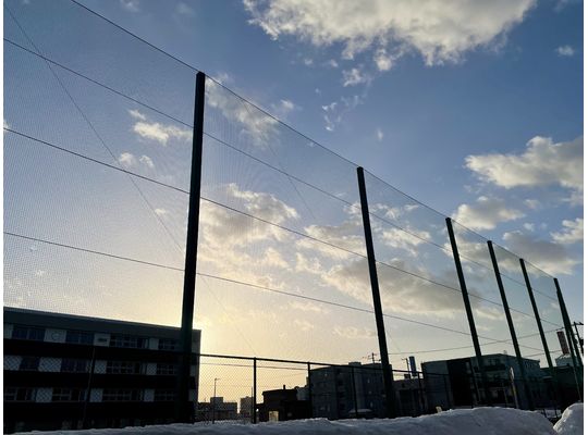 朝はキレイが多い