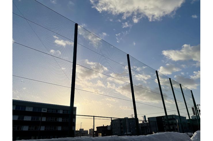 朝はキレイが多い