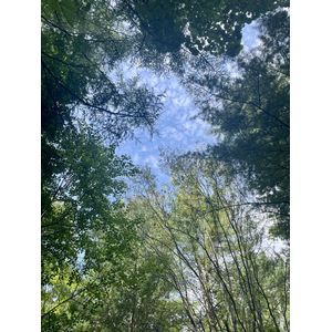 帯広の森