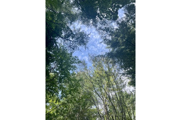 帯広の森