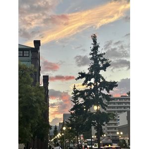 夕焼け