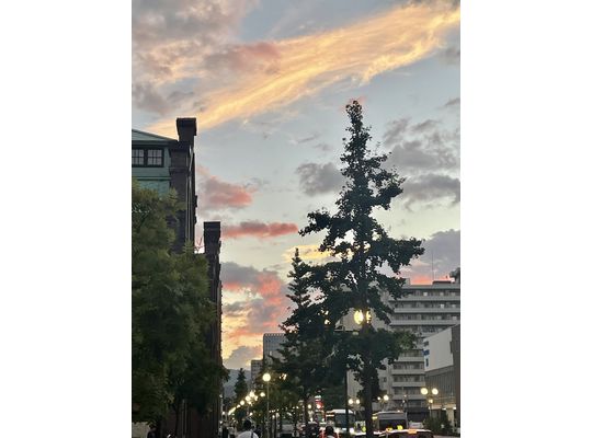 夕焼け