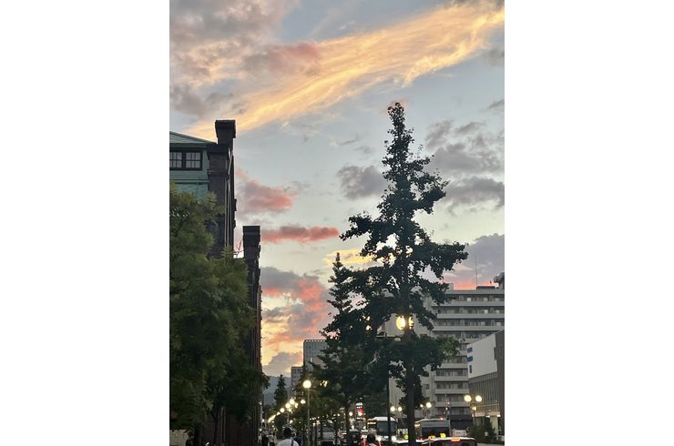 夕焼け