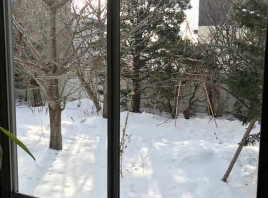 札幌のヨガスタジオミガクの庭