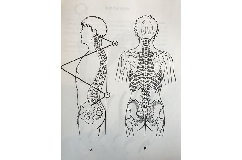 札幌のヨガスタジオミガク