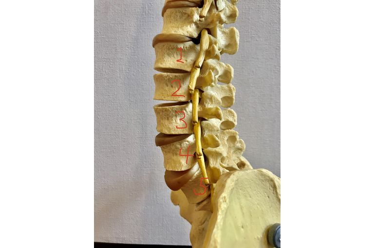 札幌のヨガスタジオミガク