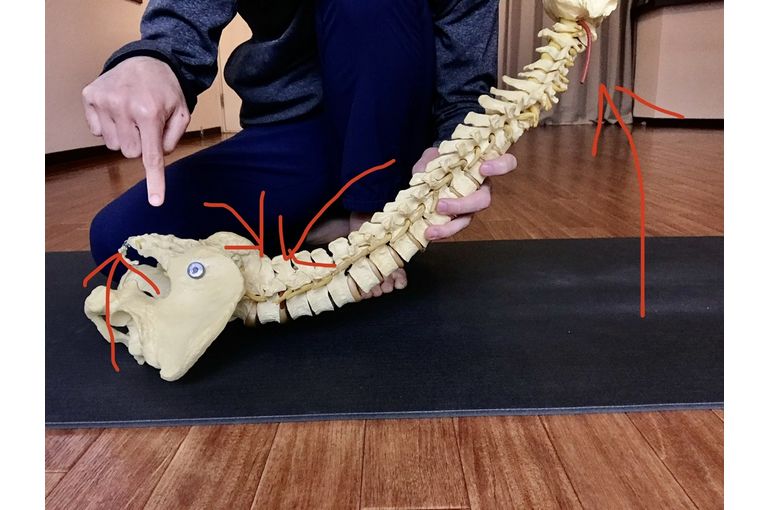 札幌のヨガスタジオミガク